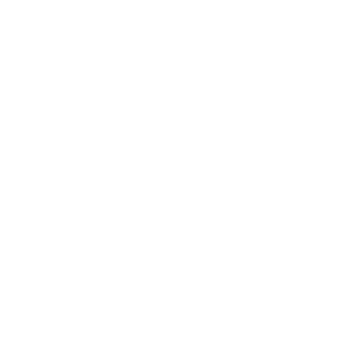 Wolt logo